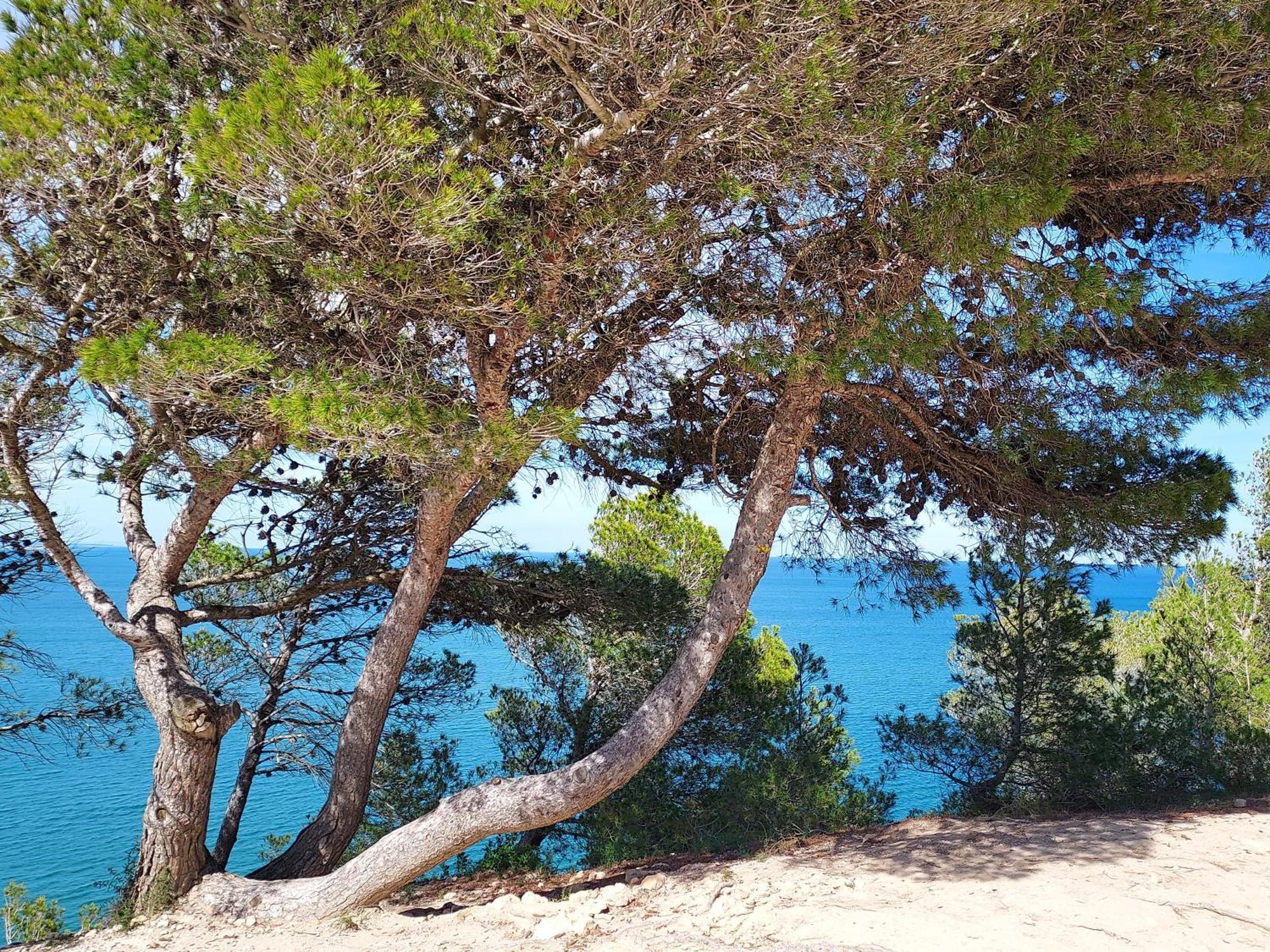 Hotel Rev'hotel Leucate
